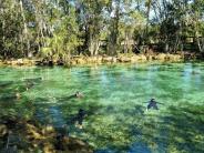 How Can I Swim at Three Sisters Springs?