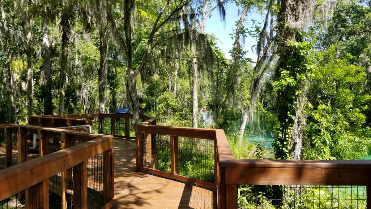 By The Boardwalk Crystal River Florida